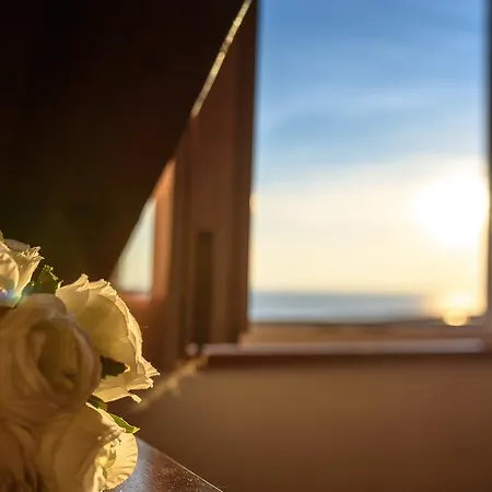 Daniela Old Town Daire